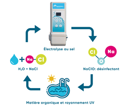 Zoutelektrolyse HS voorgemonteerd in box met pH en RX regeling - Wifi - 16g/h-Zwembad 50m³ - met flow switch